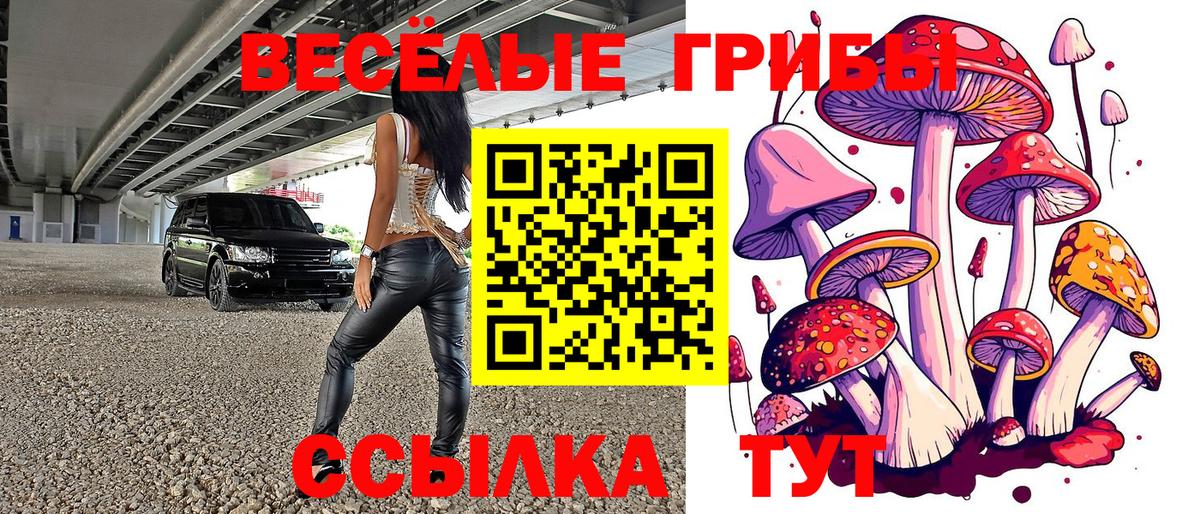 Шахты  Псилоцибиновые грибы мухоморы  Вход с VPN 